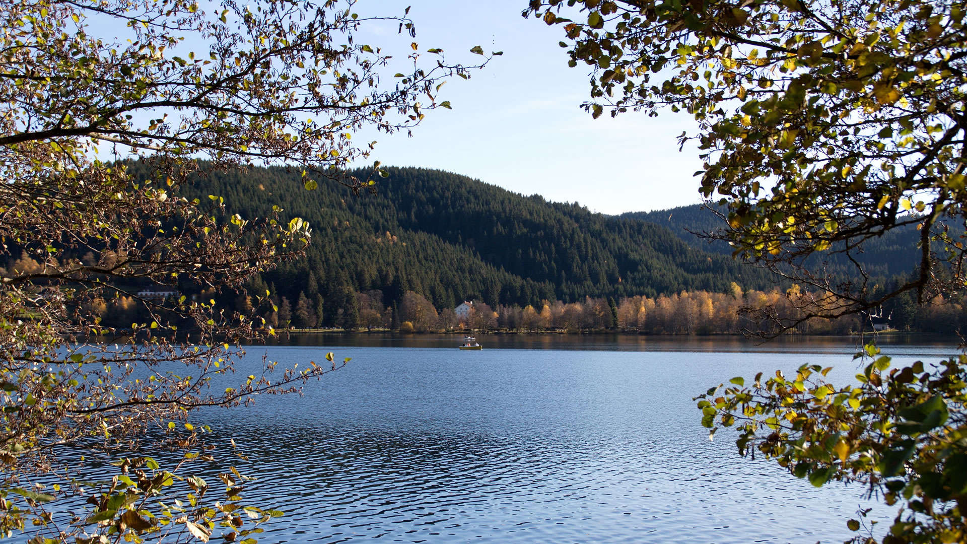 vue-echo-lac-gerardmer